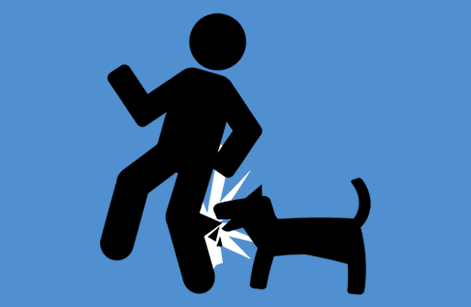Dog Bite Injury
